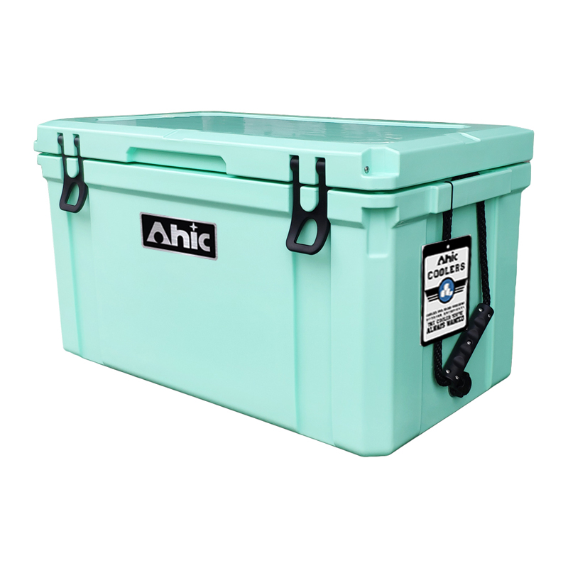 75L Insulated PE Ice Cooler Bo - Food & Snacks Coloring Book Bold & Easy recension och pris