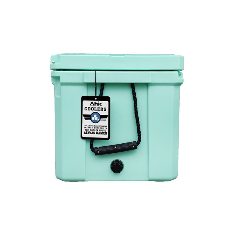 75L Insulated PE Ice Cooler Bo - Food & Snacks Coloring Book Bold & Easy recension och pris