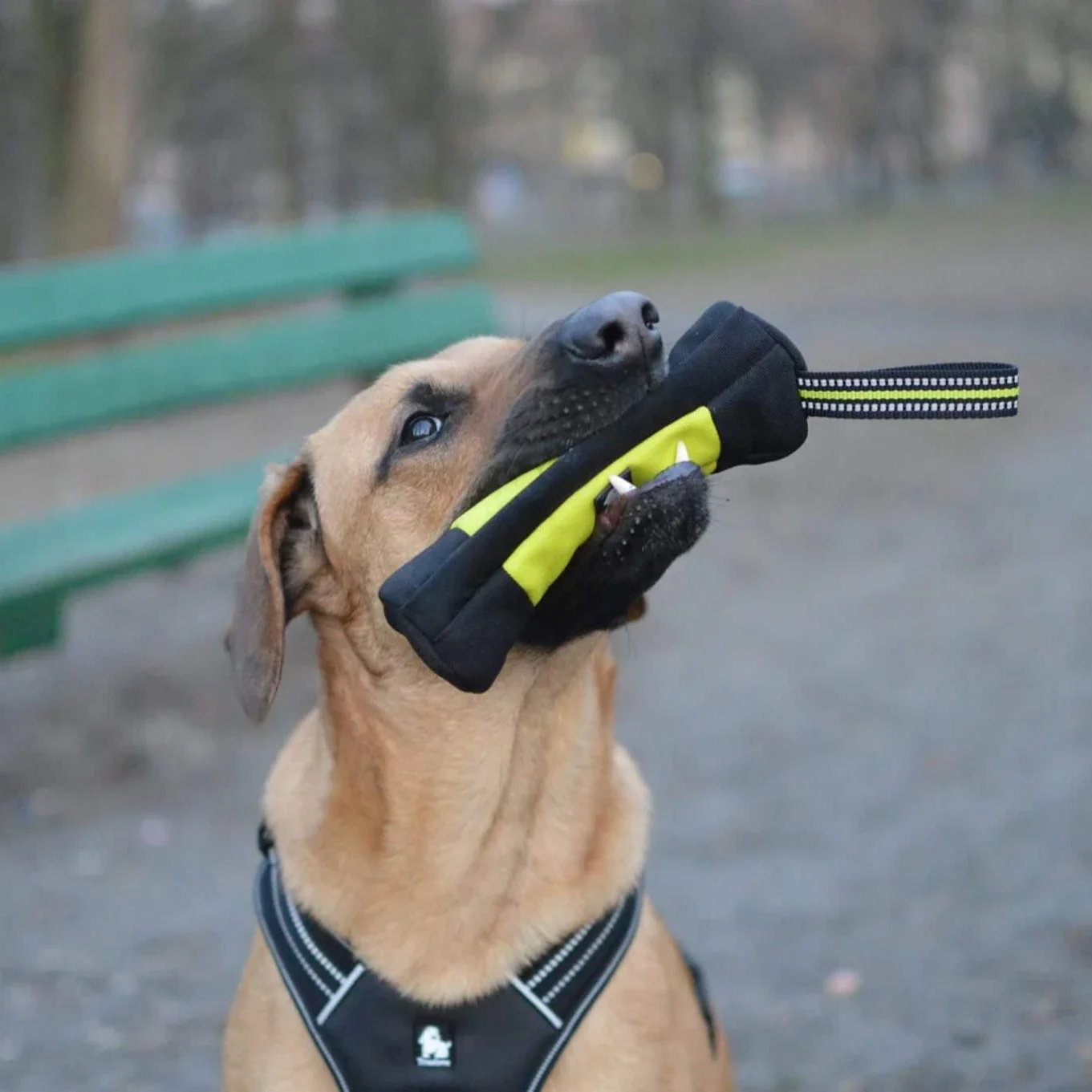 Truelove Dog Training Retrieve - Quality Food Snacks recension och pris